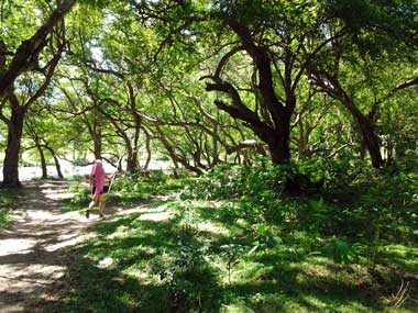 beautiful scenery and buko rest